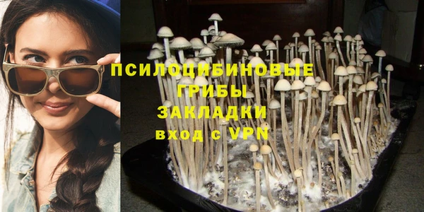 тгк Аркадак